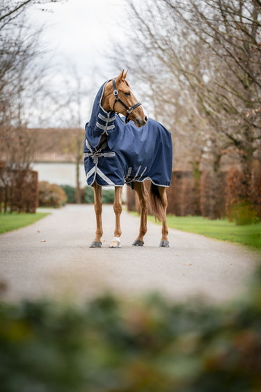Horseware Ireland Amigo 1200D Integrated Turnout Rug 50G Navy / Titanium Grey & Silver
