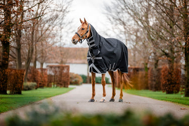 Horseware Ireland Amigo 1200D Integrated Turnout Rug 150G Black / Titanium Grey & Silver