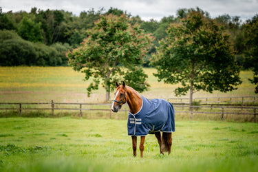 Horseware Ireland Amigo Ripstop 900D Turnout Rug 200G Navy / Titanium Grey