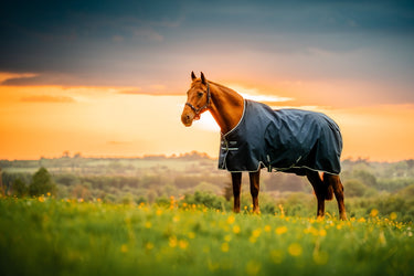 Horseware Ireland Amigo Ripstop 900D Turnout Rug 200G Witney Navy