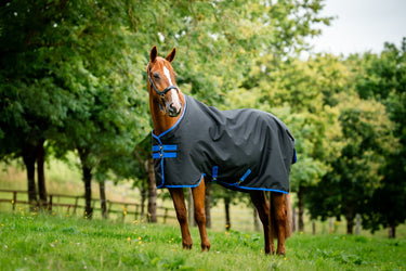 Horseware Ireland Amigo Ripstop 900D Fleece Lined Turnout Rug 50G Black/ Classic Blue