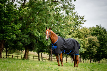 Horseware Ireland Amigo Ripstop 900D Fleece Lined Turnout Rug 50G Black/ Classic Blue