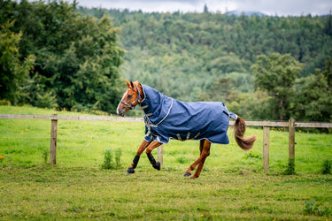 Horseware Ireland Amigo 1200D Plus Turnout Rug Bundle  (50G + 100G + 200G) Navy / Titanium Grey & Silver