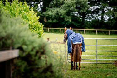 Horseware Ireland Amigo 1200D Plus Turnout Rug Bundle  (50G + 100G + 200G) Navy / Titanium Grey & Silver