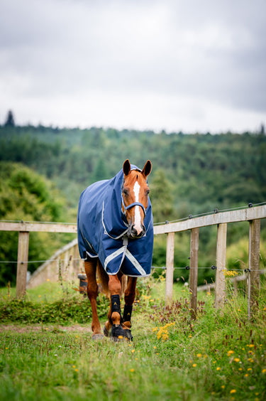 Horseware Ireland Amigo 1200D Plus Turnout Rug Bundle  (50G + 100G + 200G) Navy / Titanium Grey & Silver