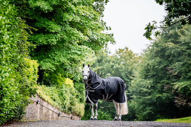 Horseware Ireland Amigo 1200D Plus Turnout Rug Bundle  (50G + 100G + 200G) Black / Titanium Grey & Silver