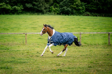 Horseware Ireland Amigo 1200D Xl Turnout Rug 0G Navy / Titanium Grey & Silver