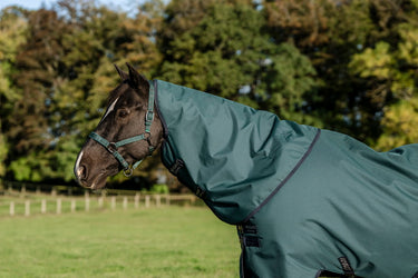Horseware Ireland Amigo Ripstop 900D Turnout Rug Hood 0G Dynasty Green / Navy & Silver