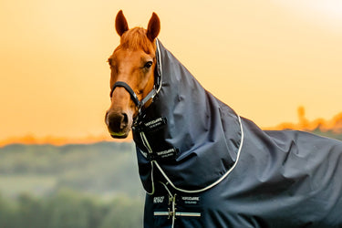 Horseware Ireland Amigo Ripstop 900D Turnout Rug Hood 0G Witney Navy