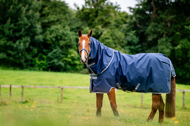 Horseware Ireland Amigo Ripstop 900D Plus Turnout Rug 100G Navy / Titanium Grey