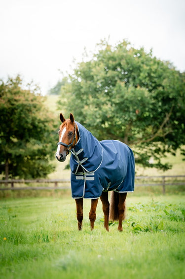 Horseware Ireland Amigo Ripstop 900D Plus Turnout Rug 0G Navy / Titanium Grey