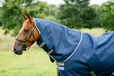 Horseware Ireland Amigo Ripstop 900D Plus Turnout Rug 200G Navy / Titanium Grey