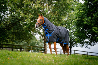 Horseware Ireland Amigo Ripstop 900D Plus Turnout Rug 100G Black/Classic Blue