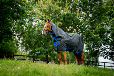 Horseware Ireland Amigo Ripstop 900D Plus Turnout Rug 100G Black/Classic Blue
