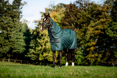 Horseware Ireland Amigo Ripstop 900D Plus Pony Turnout Rug 200G Dynasty Green / Navy & Silver