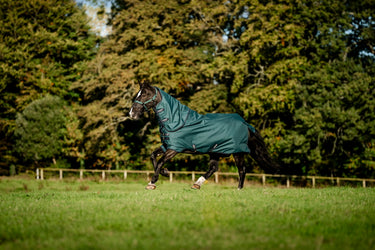 Horseware Ireland Amigo Ripstop 900D Plus Pony Turnout Rug 200G Dynasty Green / Navy & Silver