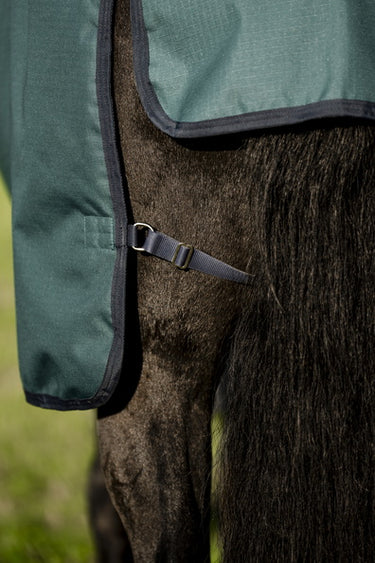 Horseware Ireland Amigo Ripstop 900D Plus Pony Turnout Rug 200G Dynasty Green / Navy & Silver
