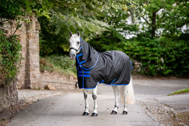 Horseware Ireland Amigo Ripstop 900D Plus Pony Turnout Rug 100G Black / Classic Blue