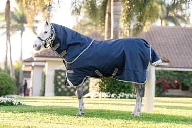 Horseware Ireland Amigo 1200D Plus Pony Turnout Rug 250G Navy / Titanium Grey & Silver