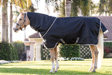 Horseware Ireland Amigo 1200D Plus Pony Turnout Rug 50G Black / Titanium Grey & Silver