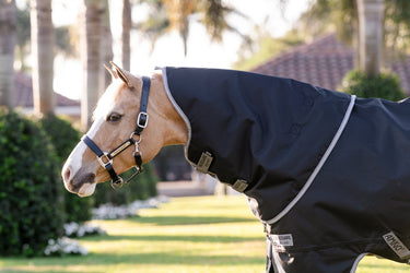 Horseware Ireland Amigo 1200D Plus Pony Turnout Rug 250G Black / Titanium Grey & Silver