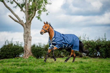 Horseware Ireland Amigo 1200D Wug Turnout Rug 150G Navy / Titanium Grey & Silver