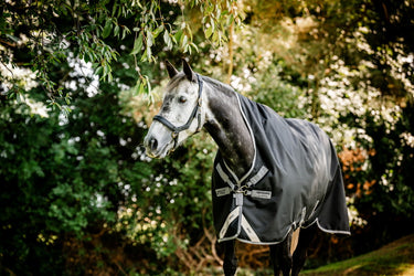 Horseware Ireland Amigo 1200D Wug Turnout Rug 0G Black / Titanium Grey & Silver