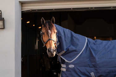 Horseware Ireland Rhino Stable Rug Hood 100G Navy / Titanium Grey & Classic Blue
