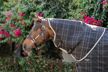 Horseware Ireland Rhino Stable Rug Hood 200G Blk / Grey / White Chk & Grey