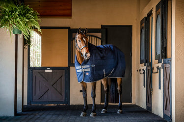Horseware Ireland Rhino Stable Rug 100G Navy / Titanium Grey & Classic Blue