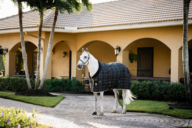 Horseware Ireland Rhino Stable Rug 350G Vl Blk / Grey / White Chk & Grey