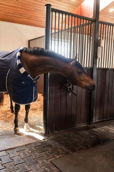 Horseware Ireland Newmarket Cosy Stable Rug 100G