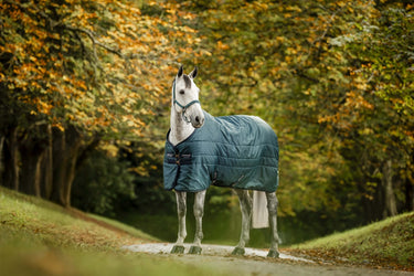 Horseware Ireland Amigo Ripstop Insulator Stable Rug 200G Dynasty Green / Navy & Silver