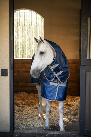 Horseware Ireland Amigo Ripstop Insulator 200G Stable Rug Hood Navy / Titanium Grey