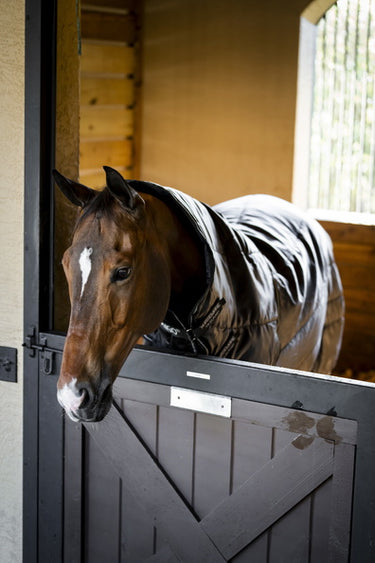 Horseware Ireland Amigo Ripstop Insulator Stable Rug Hood 200G Black / Black & Silver