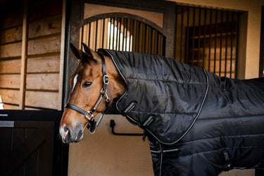 Horseware Ireland Amigo Ripstop Insulator Stable Rug Hood 200G Black / Black & Silver