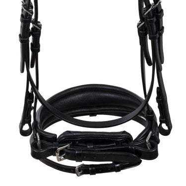 Buy Acavallo Starry Night Anatomic Leather Bridle  | Online for Equine