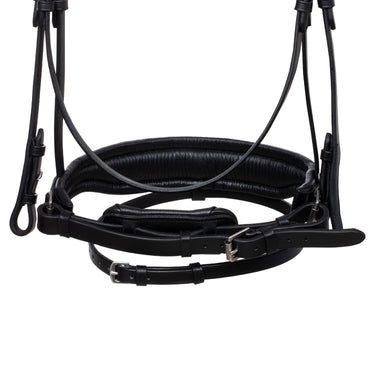 Buy Acavallo Creazione Anatomic Leather Bridle  | Online for Equine