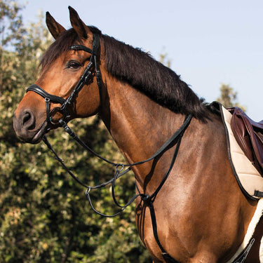 Buy Acavallo Cow Plain Martingale  | Online for Equine
