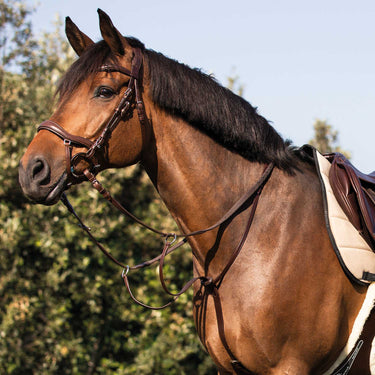 Buy Acavallo Cow Plain Martingale  | Online for Equine