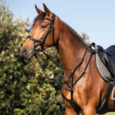 Buy Acavallo Calfskin Leather Hunting Breastplate  | Online for Equine