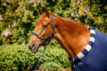 Horseware Ireland Newmarket Cosy Fleece Cooler