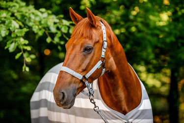 Horseware Ireland Newmarket Fleece Cooler Witney Charcoal