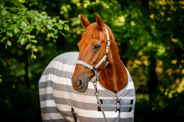 Horseware Ireland Newmarket Headcollar & Leadrope Witney Charcoal