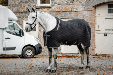 Horseware Ireland Thermal Cooler Black / Thunderstorm Grey & Silver