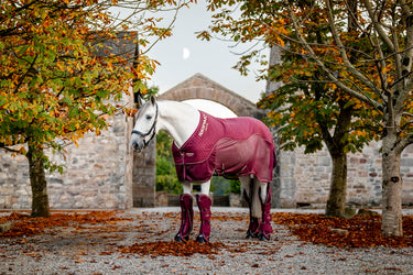 Horseware Ireland Signature Travel Cooler