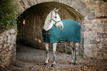 Horseware Ireland Amigo Jersey Pony Cooler Dynasty Green / Navy & Silver