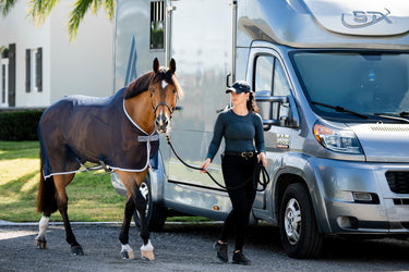 Horseware Ireland Amigo Net Cooler