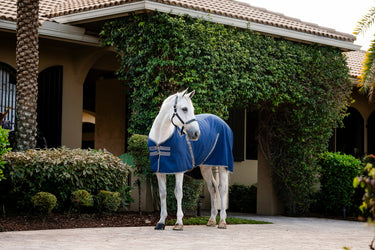 Horseware Ireland Rambo Stable Rug Sheet Navy / Thunderstorm Grey & Silver