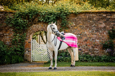 Horseware Ireland Newmarket Exercise Sheet Witney Pink